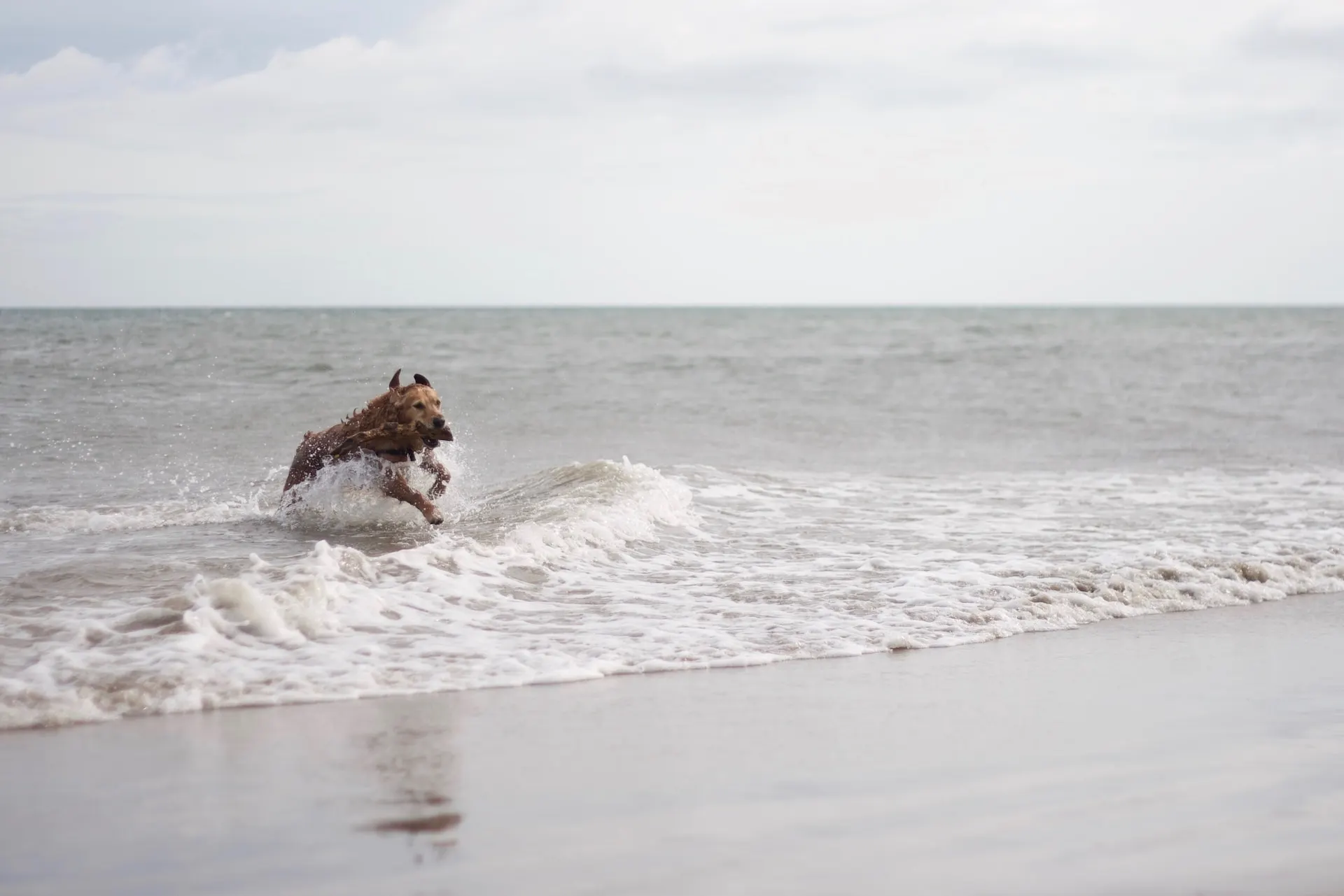 Node.js 18 updates OpenSSL support, enables fetch API